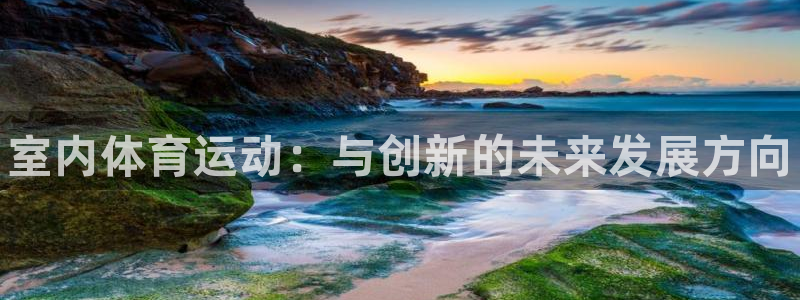 利记官方集团官网：室内体育运动：与创新的未来发展方向
