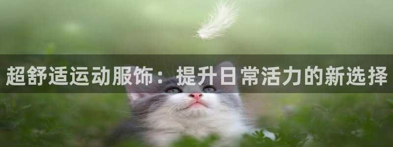 德国利记官方正版app集团：超舒适运动服饰：提升日常