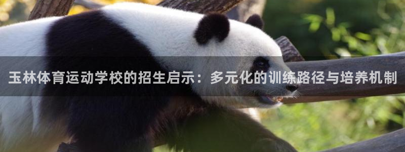 海南利记官网下载：玉林体育运动学校的招生启示：多元化
