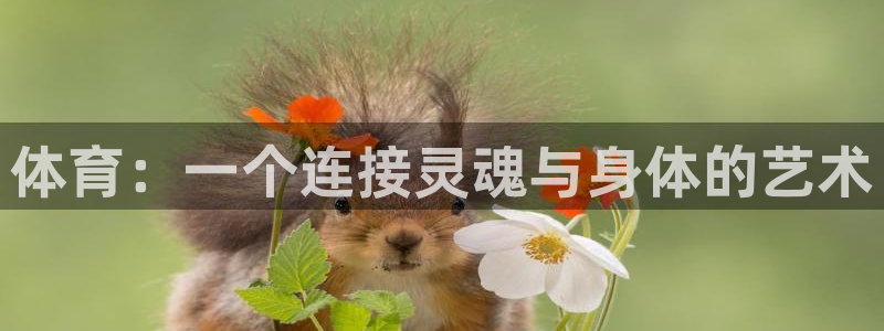 利记官方正版app集团官网首页：体育：一个连接灵魂与