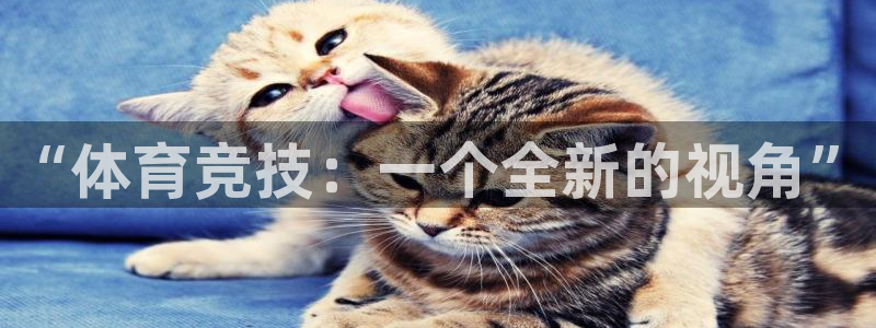 利记官方正版app新能源：“体育竞技：一个全新的视角