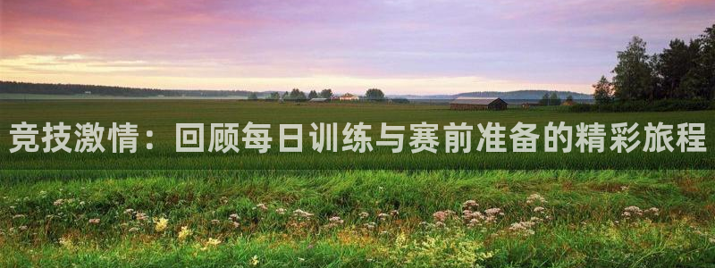利记官网下载招商电话号码查询是多少：竞技激情：回顾每