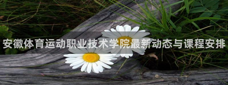 利记官网下载平台APP：安徽体育运动职业技术学院最新