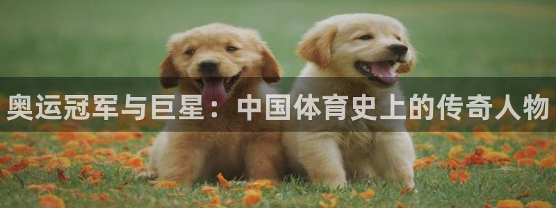 利记官方正版app集团官网网址：奥运冠军与巨星：中国