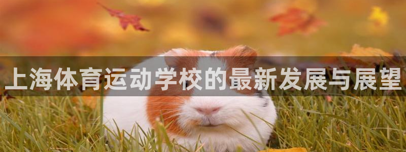 利记官网下载平台注册流程图：上海体育运动学校的最新发