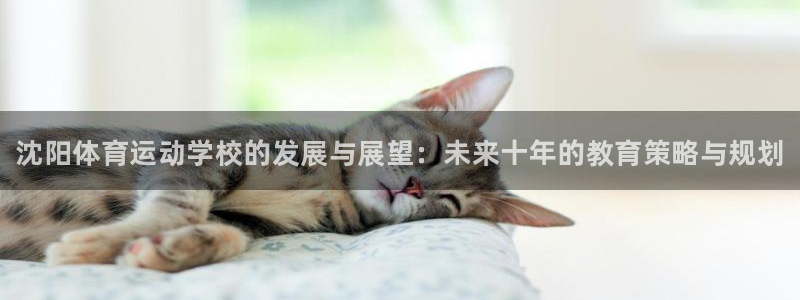 海南利记官网下载：沈阳体育运动学校的发展与展望：未来