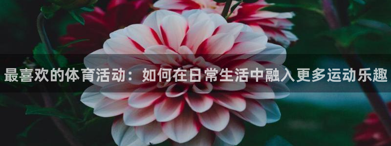 利记官方正版app集团logo：最喜欢的体育活动：如