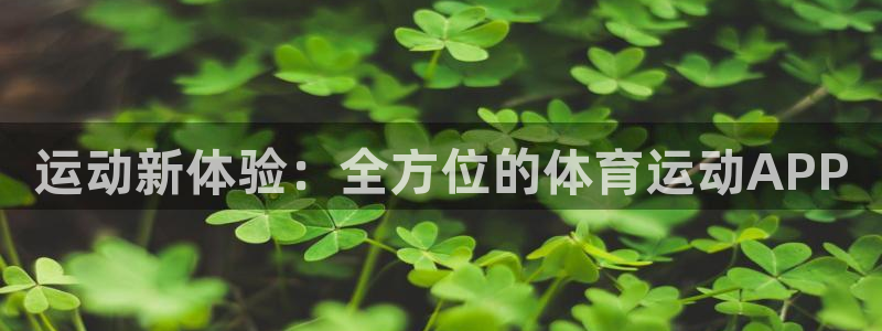 注册利记官方正版app：运动新体验：全方位的体育运动