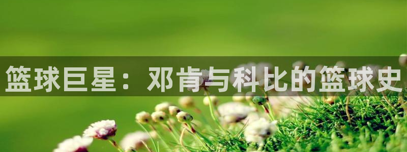 利记官网下载平台注册：篮球巨星：邓肯与科比的篮球史