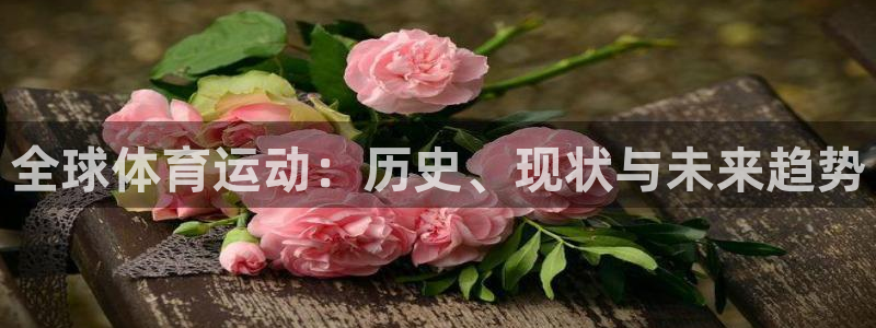 利记官方正版app娱乐首页网站大全：全球体育运动：历