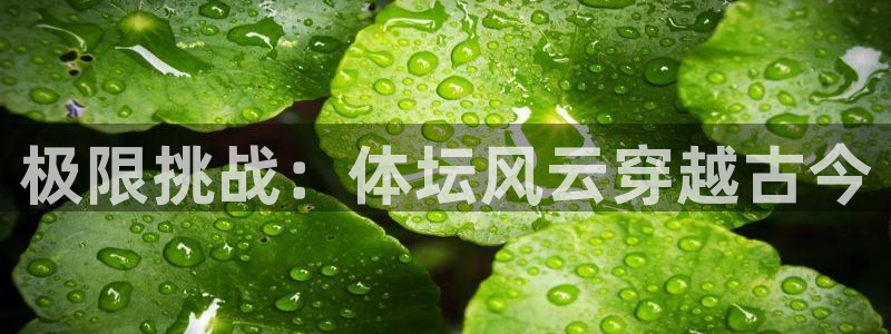 利记官网下载招商电话号码：极限挑战：体坛风云穿越古今