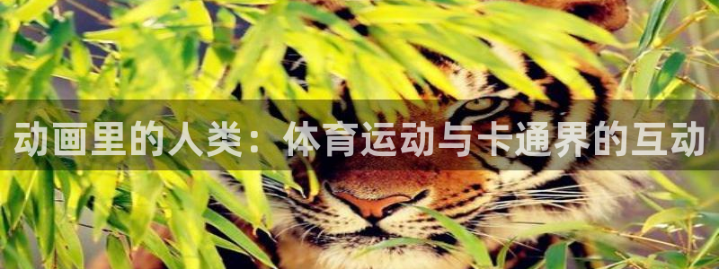 利记官方正版app娱乐下载：动画里的人类：体育运动与