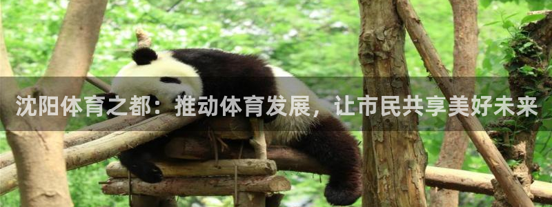 利记官方正版app官网：沈阳体育之都：推动体育发展，