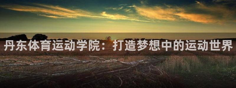 利记官方正版app娱乐代理怎么样：丹东体育运动学院：