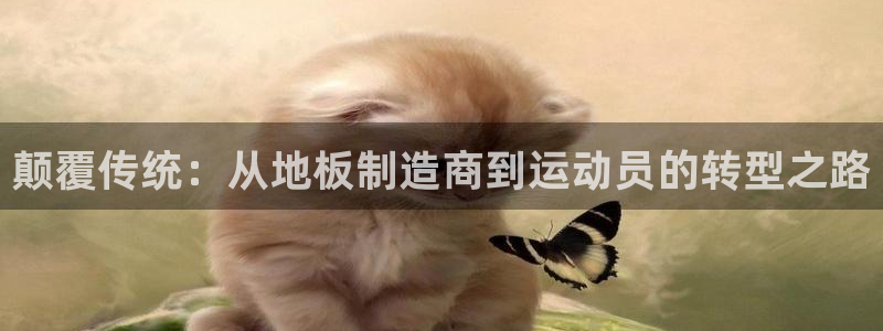 利记官方正版app集团E.ON：颠覆传统：从地板制造