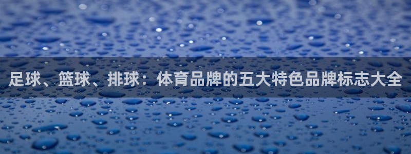 利记官网下载招商电话地址：足球、篮球、排球：体育品牌