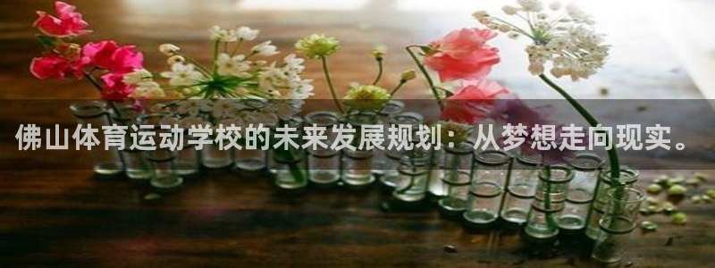 利记官网下载平台：佛山体育运动学校的未来发展规划：从