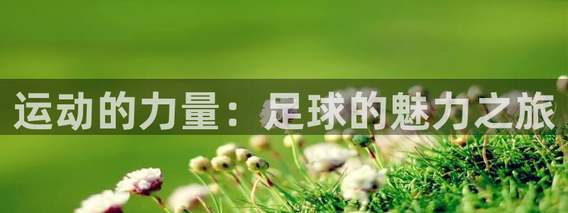 利记官方正版app娱乐：运动的力量：足球的魅力之旅
