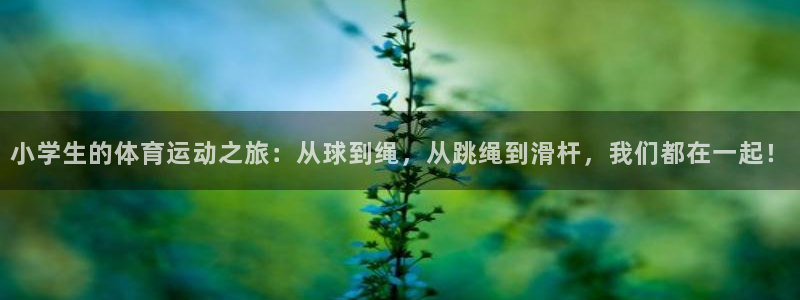 利记官网下载平台APP：小学生的体育运动之旅：从球到绳，从跳