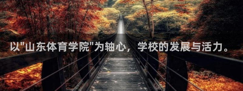 注册利记官方正版app：以\