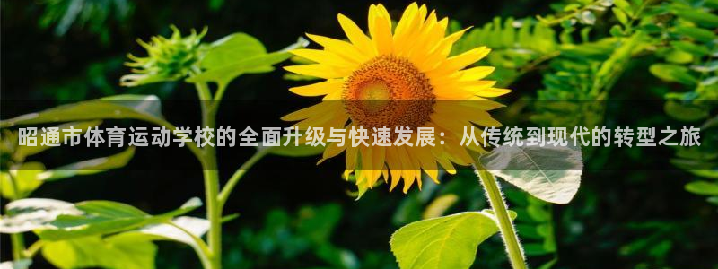 利记官方正版app集团logo：昭通市体育运动学校的全面升级