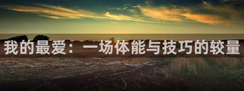 利记官方正版app神州：我的最爱：一场体能与技巧的较