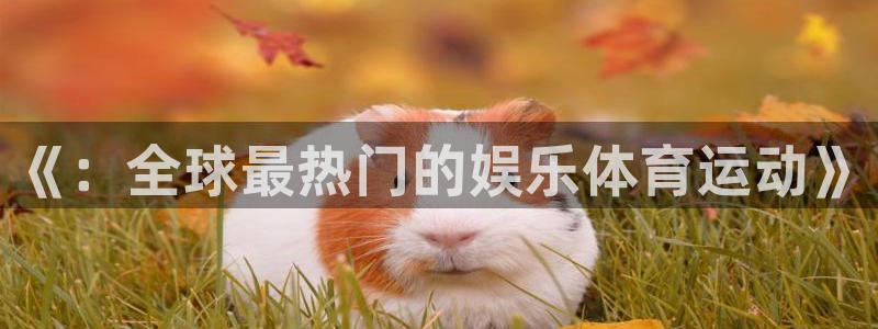 利记官方平台体育：《：全球最热门的娱乐体育运动》