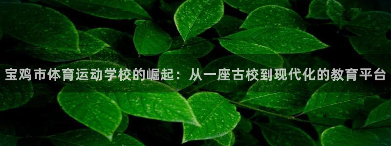  利记SBOBET官方网站：宝鸡市体育运动学校的崛起：从一座古