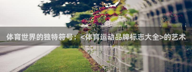  利记sbob欧赔分析：体育世界的独特符号：<体育运动品牌标志
