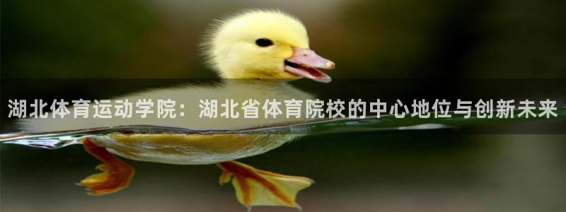 利记app官网(中国)官方网站：湖北