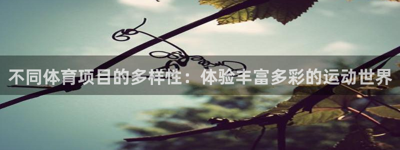 利记SBOBET网页版：不同体育项目