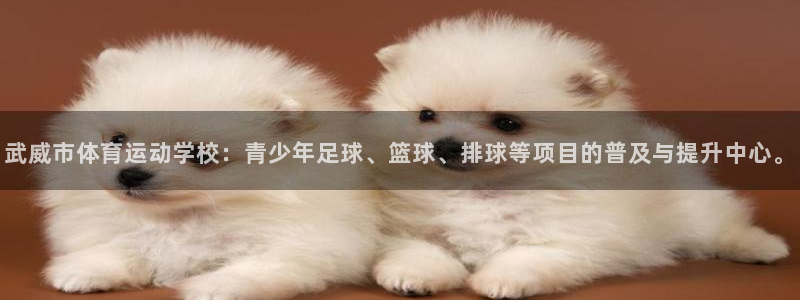 利记体育app：武威市体育运动学校：