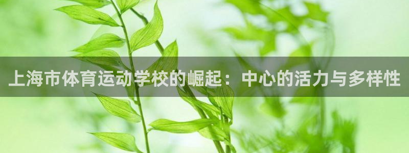 利记SBOBET官方网站：上海市体育