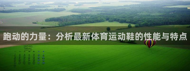  利记坊官网：跑动的力量：分析最新体育运动鞋的性能与特点