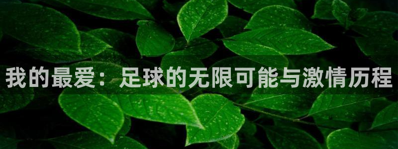 利记SBOBET官网APP：我的最爱：足球的无限可能与激情历