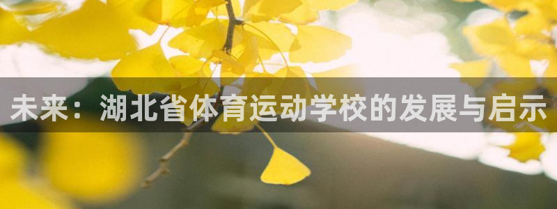 利记sbobet注册登录：未来：湖北