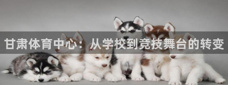 利记sbobet：甘肃体育中心：从学