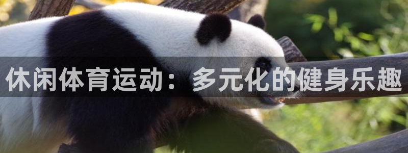 利记的开盘特点