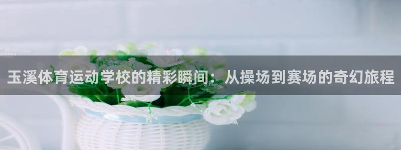 利记官网网址：玉溪体育运动学校的精彩