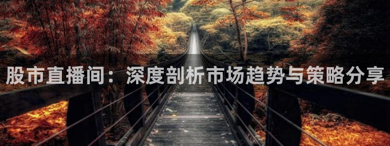 玩球体育直播app