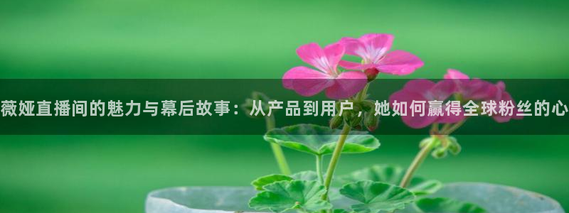 玩球直播免费直播：薇娅直播间的魅力与幕后故事：从产品到用户，她如何赢得全球粉丝的心