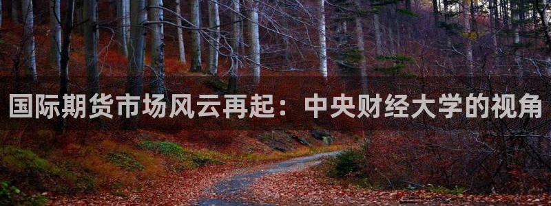 玩球直播(免费版)：国际期货市场风云再起：中央财经大学的视角